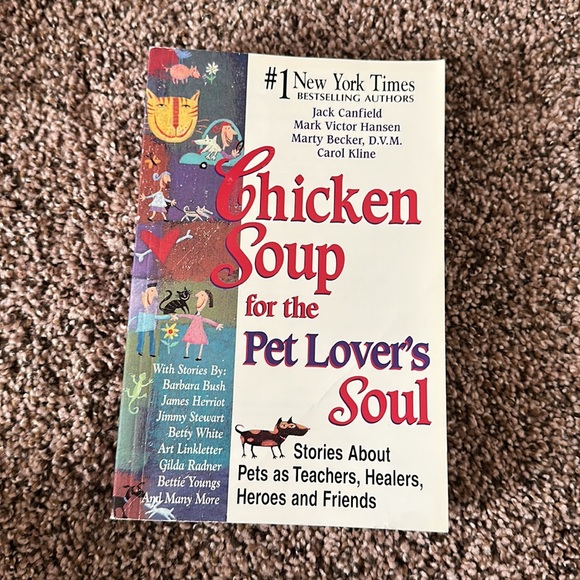 Chicken Soup for the Soul Books - Picture 3 of 7